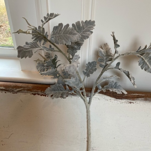 Anthropologie Terrain Velvet Faux Dusty Miller Stem - Picture 8 of 9